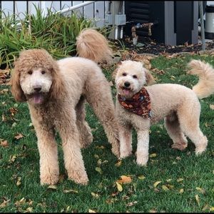 Meet your Posher, Vita